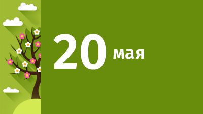 История развития и становления травматологии и ортопедии в россии.