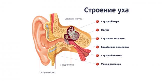 Острый отит