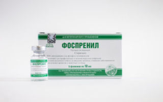Ацилок для кошек: инструкция по применению
