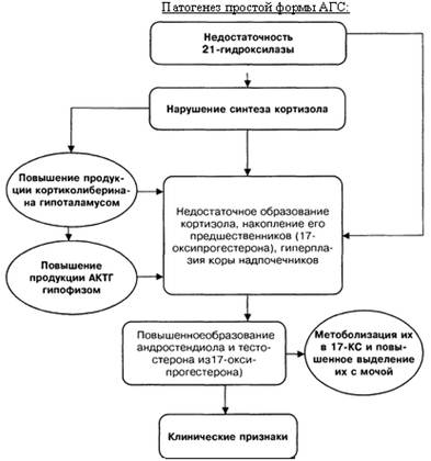 Адреногенитальный синдром: формы, развитие, симптомы, лечение
