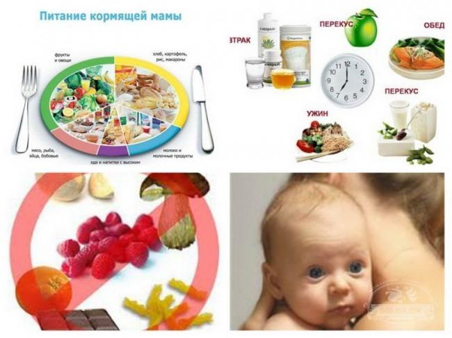 Питание кормящей мамы по комаровскому: что нужно есть для кормления ребенка грудным молоком
