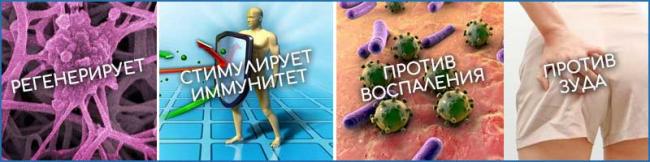 Что нужно знать о мази постеризан
