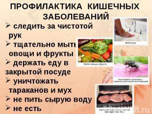 Всё о заболеваниях пищеварительной системы :: herbalist.ru - фитотерапия - рецепты народной медицины