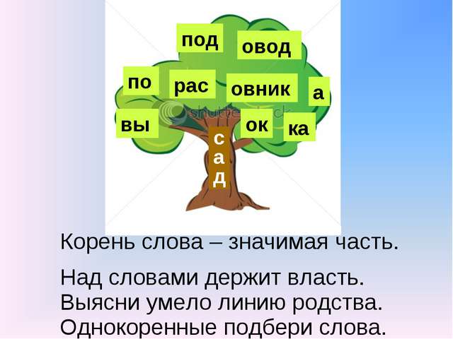 Какие бактерии живут на руках?
