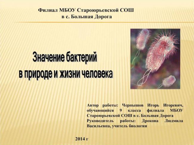 Бактерии и их значение в жизни растений