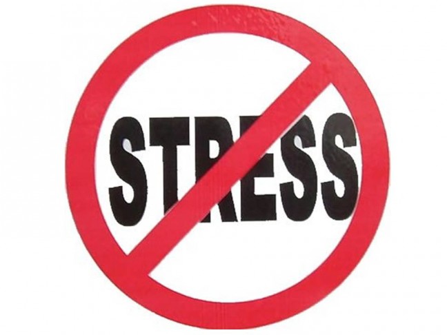 Какие гормоны стресса выделяет организм