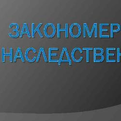 Презентация на тему: "углеводы. функции углеводов 1. энергетическая. основная функция углеводов заключается в том, что они являются непременным компонентом рациона человека,". скачать бесплатно и без регистрации.