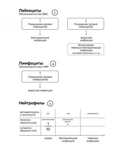 Как определить по анализу крови бактериальная или вирусная инфекция у детей