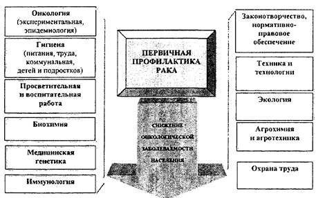 Урсоловая кислота отзывы. урсоловая кислота: описание, полезные свойства. в каких продуктах содержится урсоловая кислота? воспаление и иммунология
