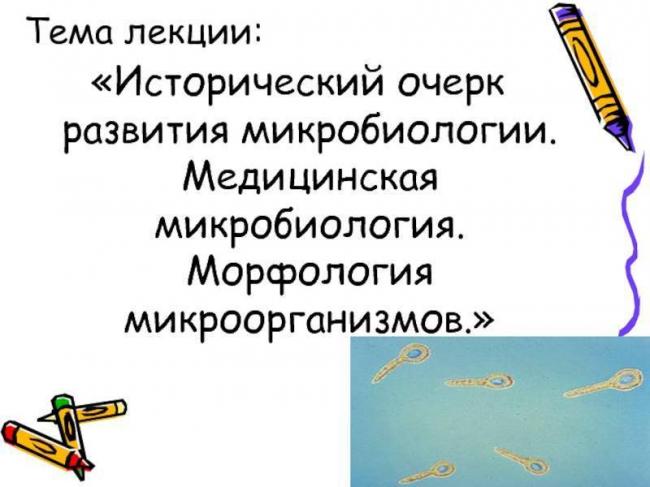 Биология: бактерии - представляют собой; многоклеточные ядерные организмы. одноклеточные ядерные...