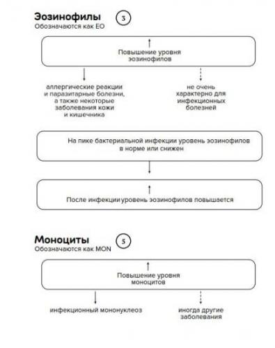 Как отличить вирусную инфекцию от бактериальной