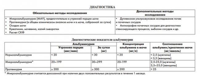 Микроальбумин в моче (микроальбуминурия): норма, расшифровка, причины, как правильно собрать и сдать анализ