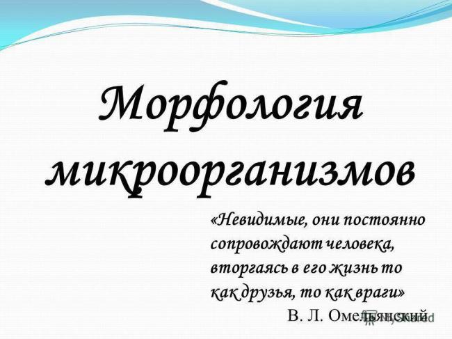 Биология: выберите номера с правильными суждениями. бактерии – одноклеточные организмы. бактерии...