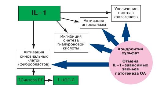 Мазь Хондроитин - от чего помогает