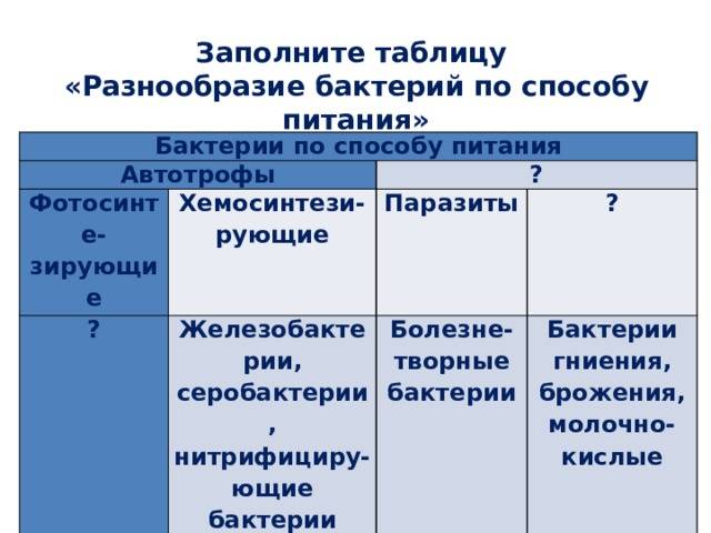 Бактерии — общая характеристика. классификация, строение, питание и роль бактерий в природе