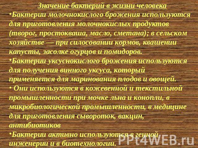 Классификация организмов. вирусы. бактерии. грибы. лишайники.