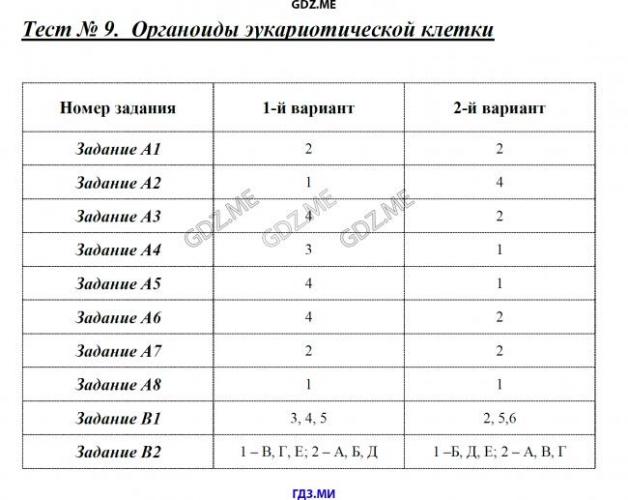 Функции углеводов в организме