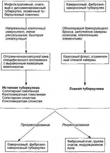 Туберкулез и рак легких