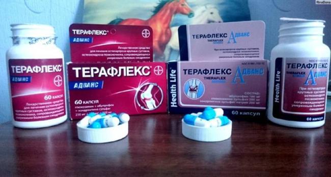 Аналоги Терафлекса обзор заменителей