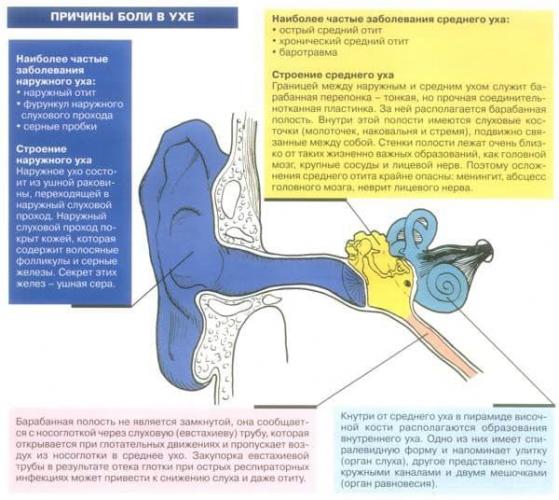 Наружный отит (отит наружного уха) у взрослого