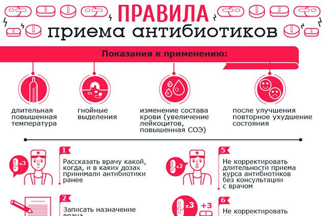 Питание при приеме антибиотиков: диета, запрещенные продукты