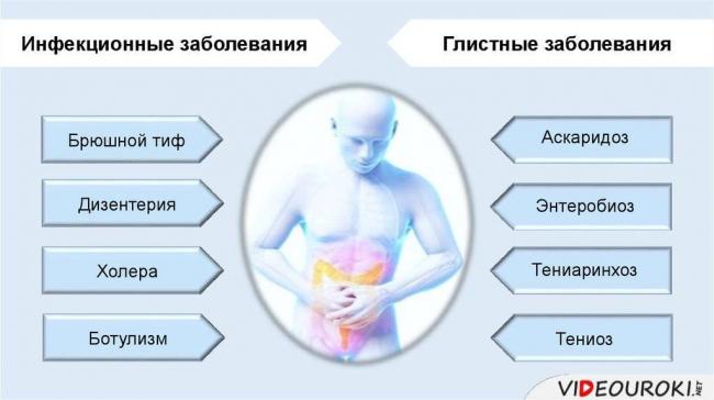 Малые, да удалые, или чем могут быть опасны болезнетворные бактерии