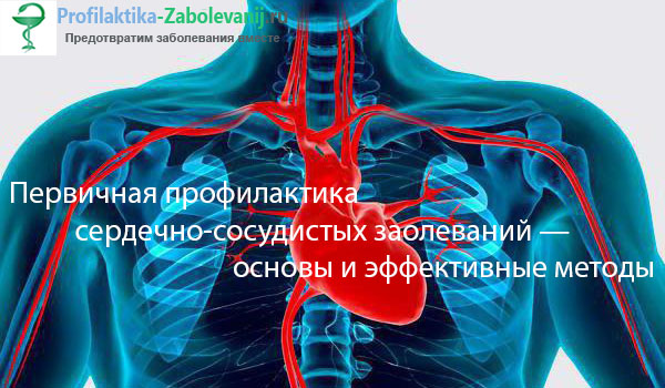 Лечение антагонистами кальция больных ишемической болезнью сердца