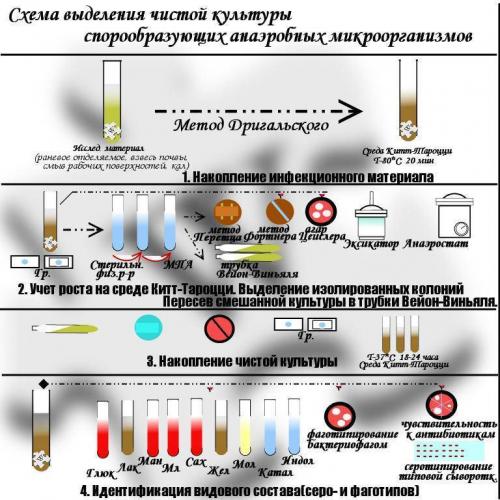 Методы культивирования анаэробов — студопедия