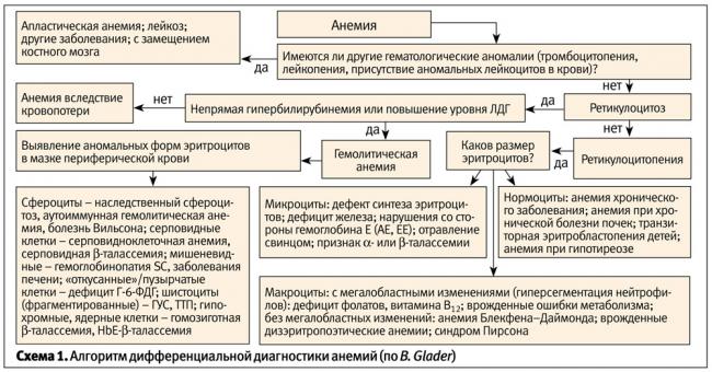 Гемолитическая анемия. причины, симптомы, диагностика и лечение патологии :: polismed.com