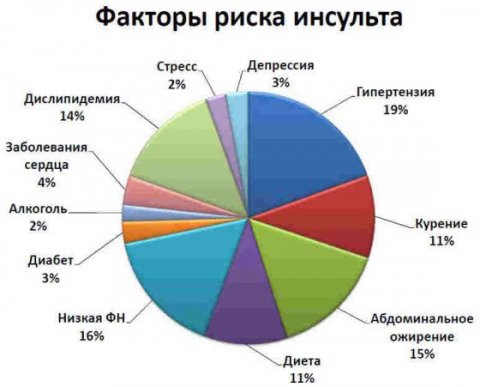 Занятия спортом в зрелом возрасте спасут от инсульта