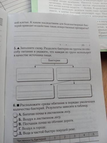 Наши соперники и помощники, или особенности существования бактерий