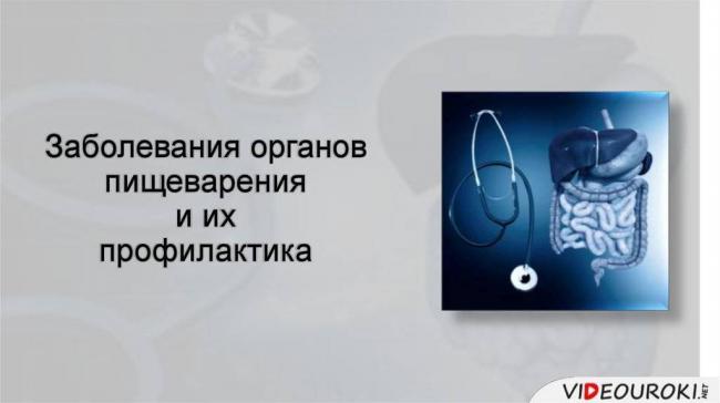 Микробиота кишечника: значение бактерий в формировании иммунитета