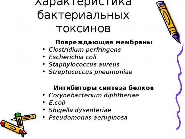 Свойства и особенности токсинов бактерий