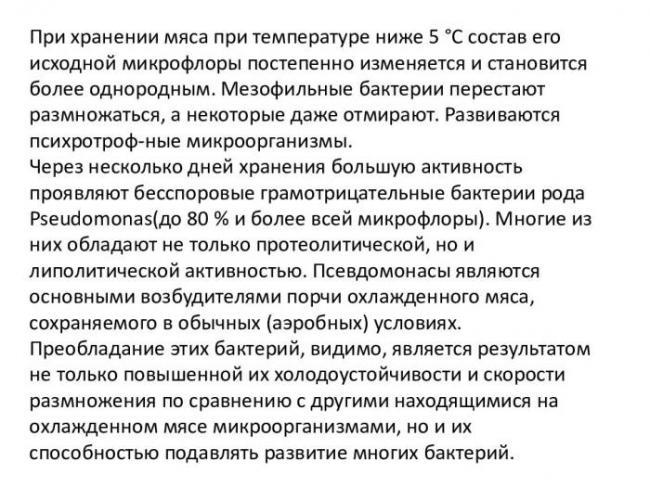 Любители тепла – термофильные свободноживущие бактерии