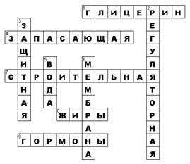 Функции углеводов в организме | krok8.com - фундаментальная стратегия развития