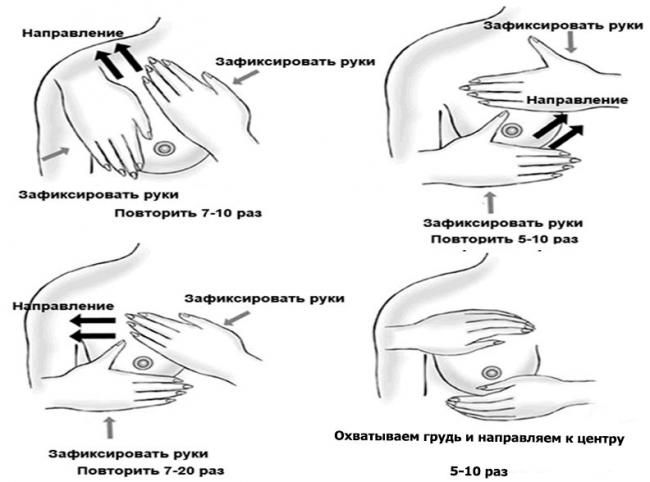 Основные симптомы и способы лечения лактостаза у кормящей матери