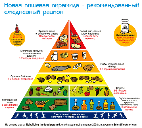 Сушка тела для мужчин – меню и комплекс упражнений