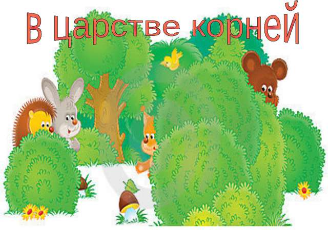 Бактериальные болезни человека