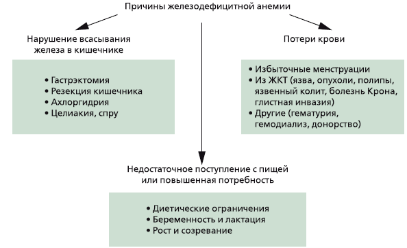 Анемия – что это такое, основные симптомы и лечение