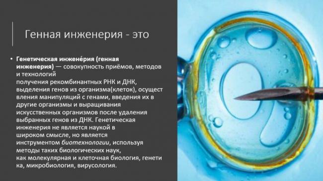 Гмо и другие генетические тайны селекции растений