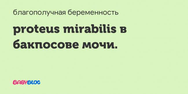 Протейная инфекция: причины, симптомы, лечение и профилактика