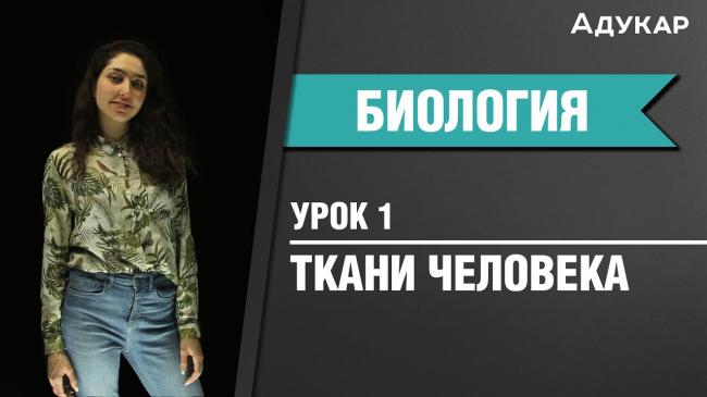 Ткани нашего тела: соединительная, эпителиальная, мышечная, нервная ткани