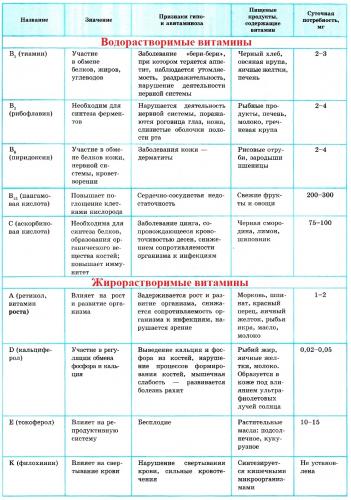 Витамины — что это? значение для организма и основные источники витаминов