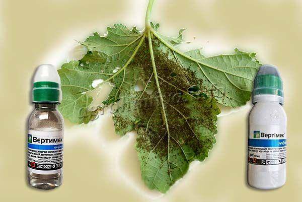 НовостиИнсектициды и акарицидыСанмайт, СП
