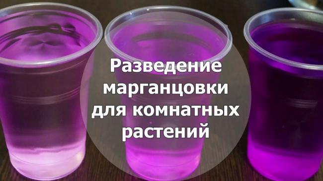 Марганцовка (перманганат калия): где купить, цена, инструкция по применению, отзывы при удалении волос, формул