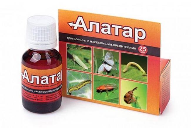 Препарат алатар применение отзывы