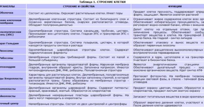 Значение пилей в жизни бактерий