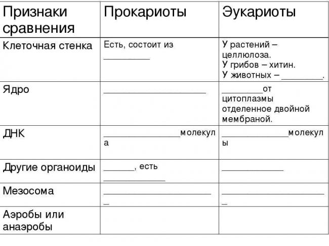 Эти уникальные одноклеточные бактерии