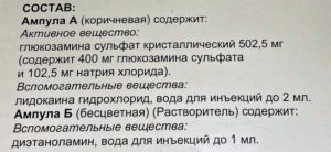 Эффективный хондропротектор дона порошок: инструкция по применению, цена, отзывы, аналоги препарата