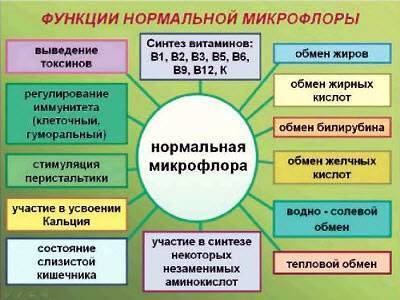 Что мы знаем о бактериях, которые едим?